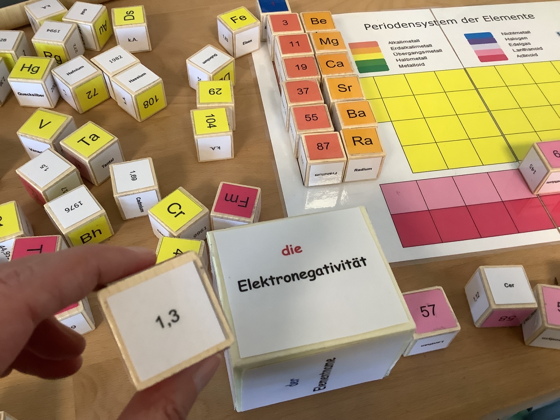 Lernszenario Baumscheibe – gemeinsamer Blick